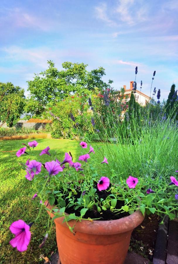 Guesthouse Olei Malinska Buitenkant foto